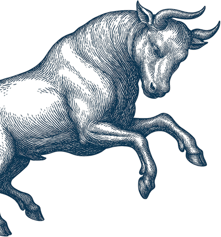 steueroptimierter-vermoegensaufbau-stier